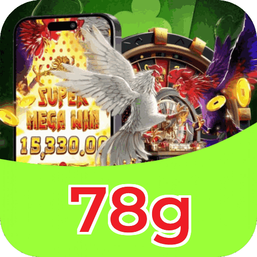 Interface 78g